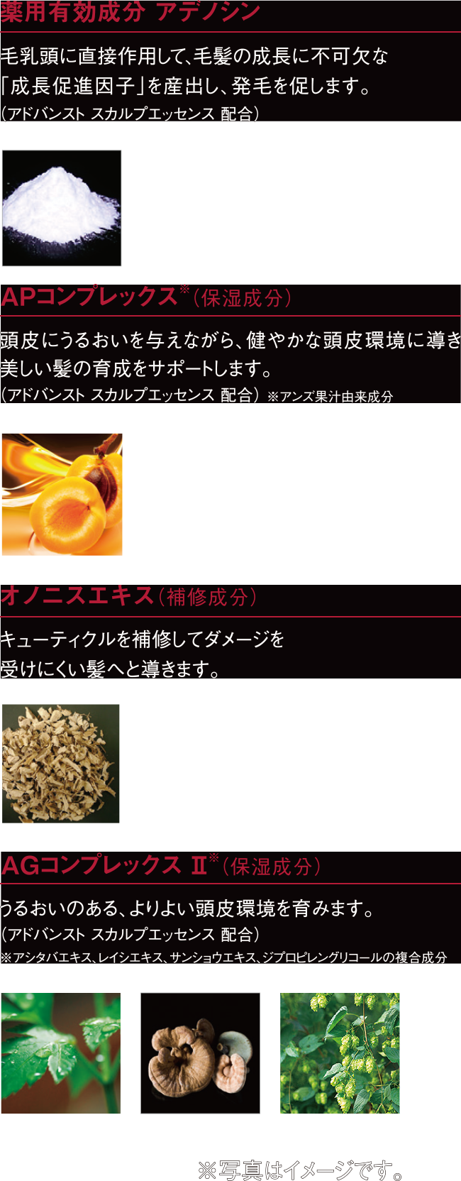 アデノバイタル特徴