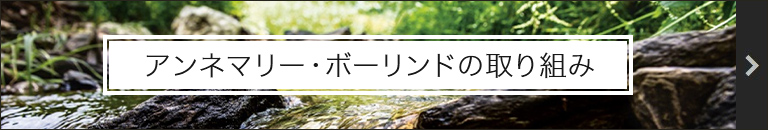 アンネマリー・ボーリンドの取り組み