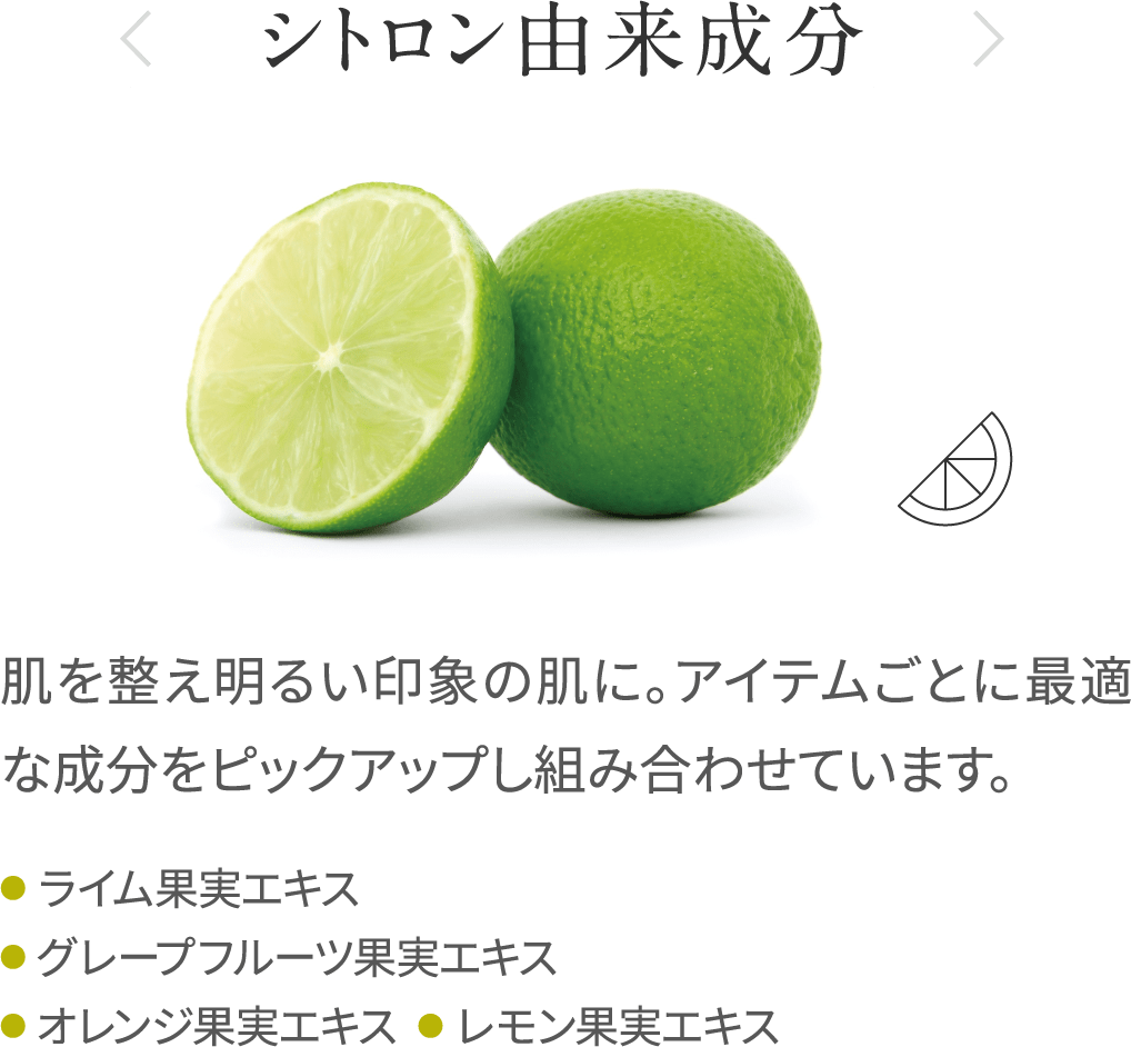 シトロン由来成分_肌を整え明るい印象の肌に。アイテムごとに最適な成分をピックアップし組み合わせています_ライム果実エキス_グレープフルーツ果実エキス_オレンジ果実エキス_レモン果実エキス