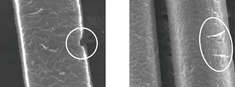 キューティクルの欠損