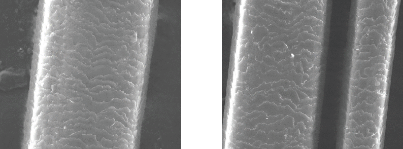 キューティクルの欠損