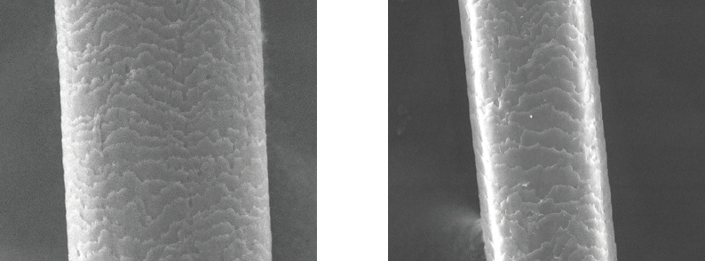 キューティクルの欠損