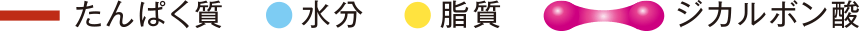 タンパク質　水分　脂質　ジカルボン酸