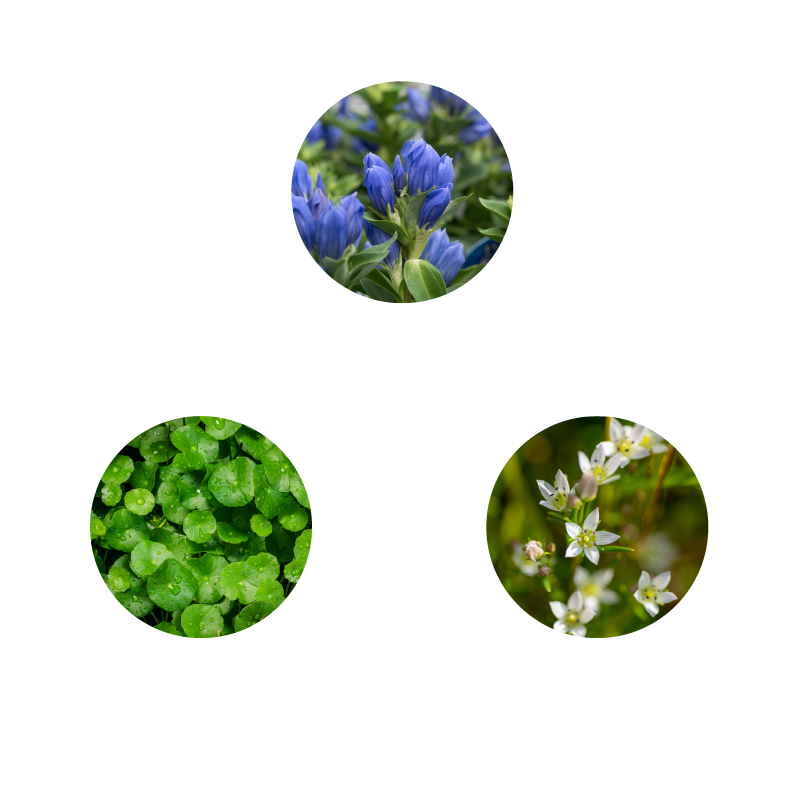 トウリンドウ根・CICA（ツボクサ葉／茎エキス）・センブリエキス