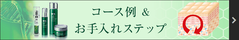 コース例＆お手入れステップ