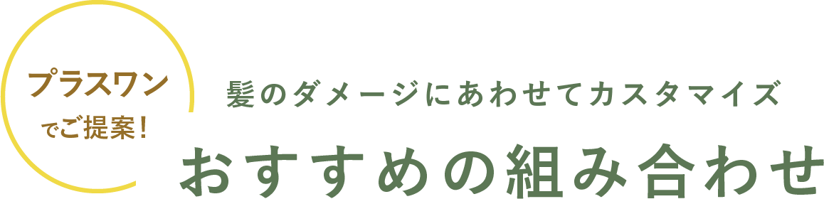 プラスワンでご提案！おすすめの組み合わせ髪のダメージにあわせてカスタマイズ