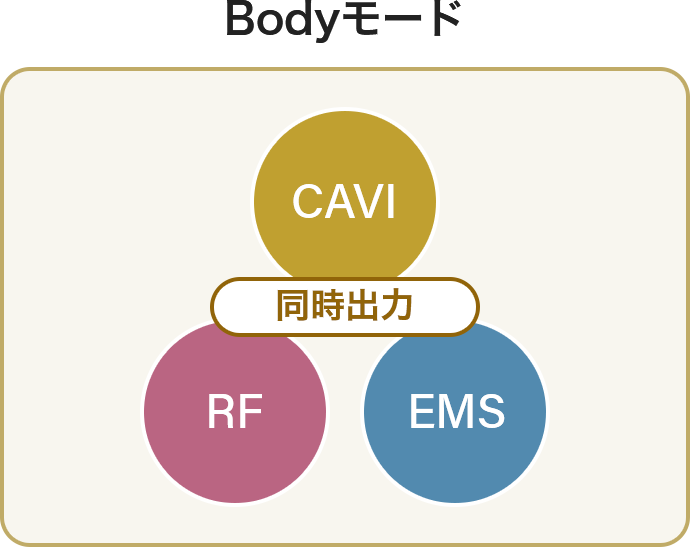 Bodyモード