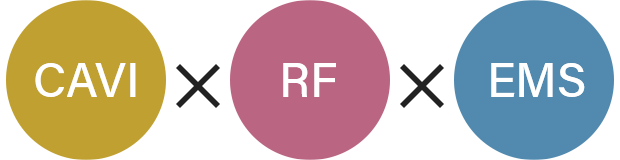 RF×EMS