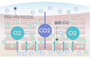 図02