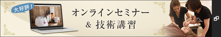 オンラインセミナー＆技術講習