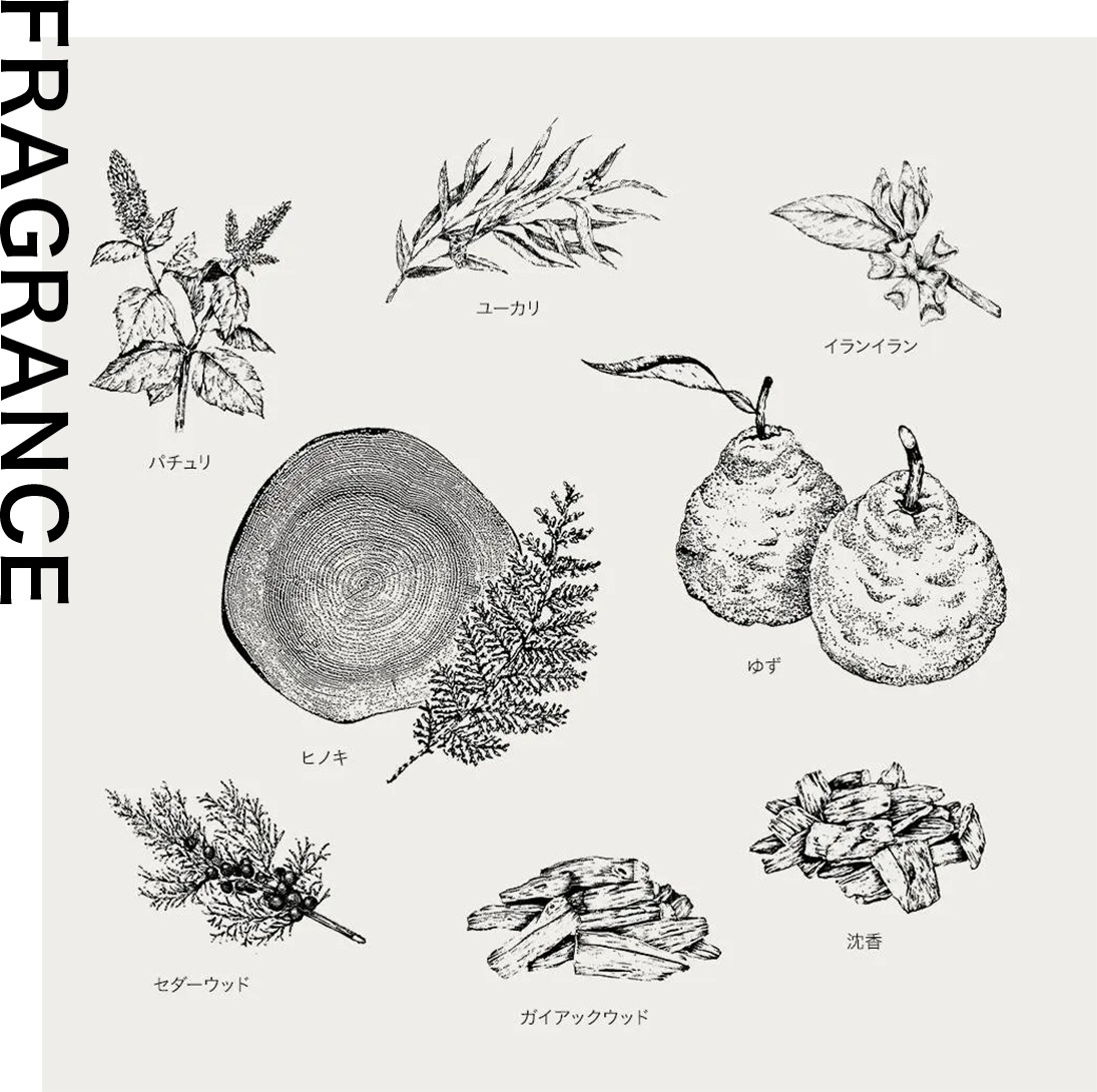 FRAGRANCE