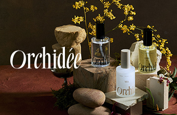 メゾンオルキデ新商品