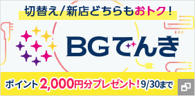 BGでんき