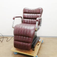 ビューティガレージ 電動シャンプーイス D103