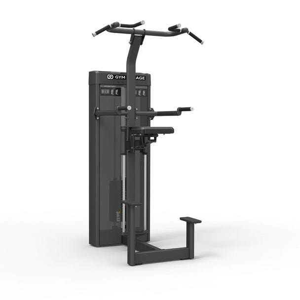 【GYM GARAGE】　ディップ/チンアシスト GG-C12014