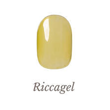 リッカジェル カラージェル 252S 3g