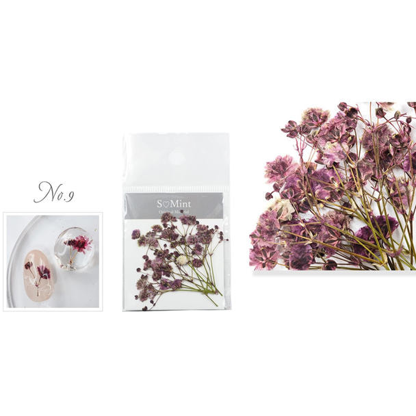 SMint Press Flower カスミソウシリーズ No.9 1