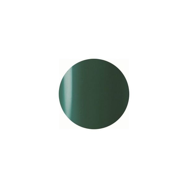 VETRO（ベトロ） カラージェル VL290A ピグメントグリーン 4ml