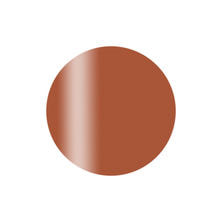 Calgel カラーカルジェルプラス キャメルブラウン 2.5g