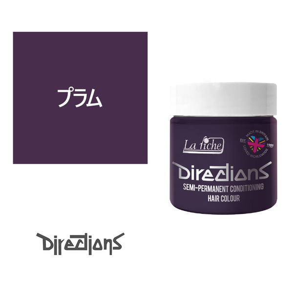 ディレクションカラー 100ml＜プラム＞ 1