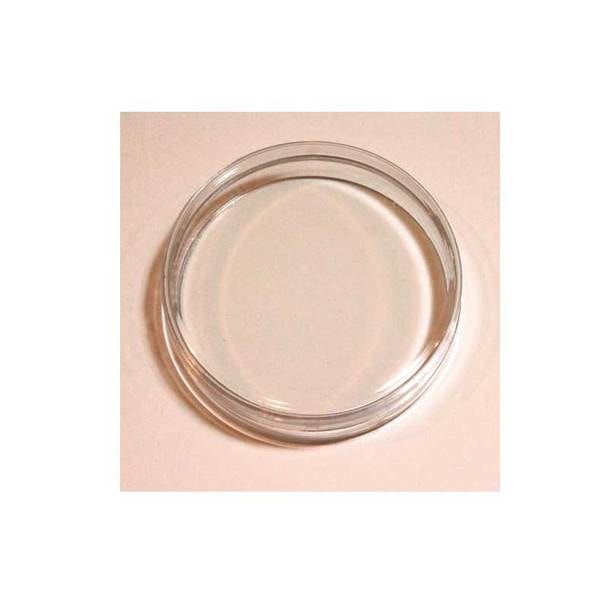 【テクニコ】シリコントレー(xsit)