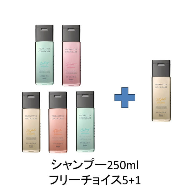 【5+1キャンペーン】プロマスターカラーケア シャンプー 250ml セット