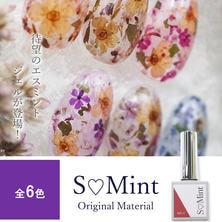 SMint Gel Clear color 7ml
