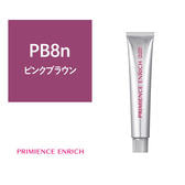 プリミエンスエンリッチ PB8n 80g《グレイカラー》【医薬部外品】