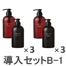 ラデュラ 初回導入セット B-1 ラデュラ 初回導入セット B-1