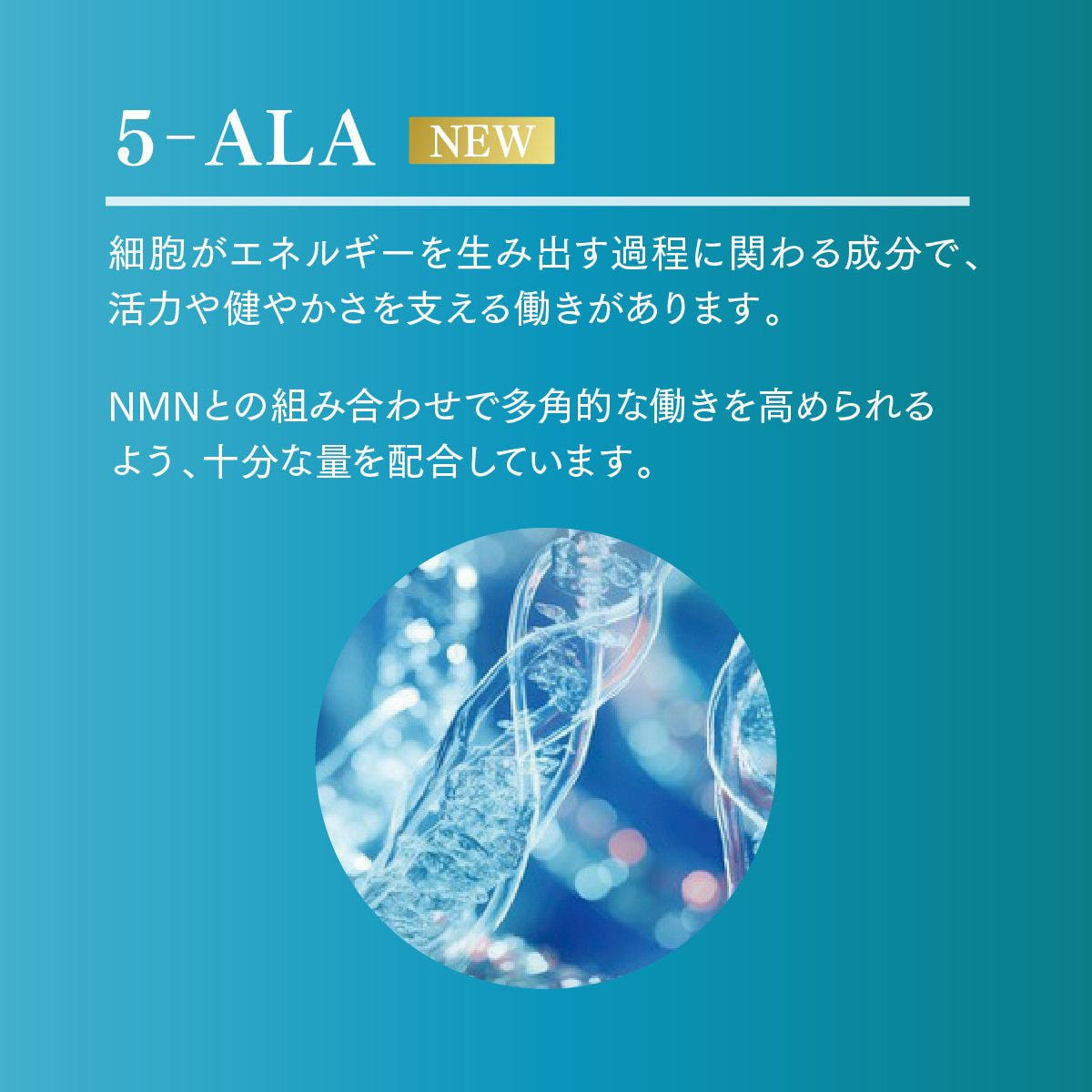 JC NMN サーチュインブースター プロフェッショナル15000プラスの卸