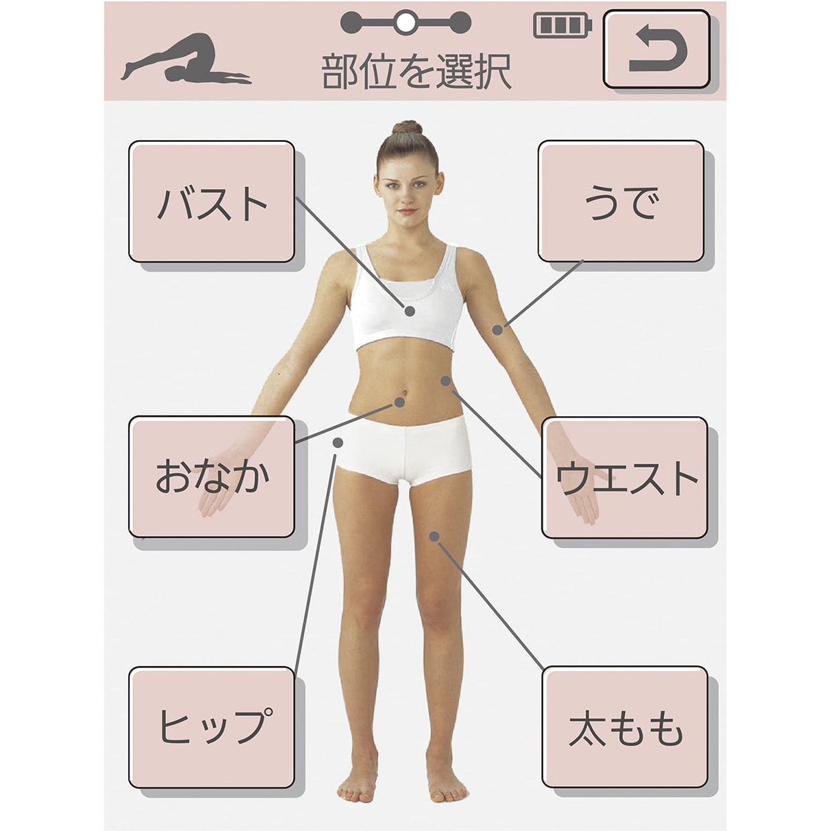 家庭用EMS機器スタイリフト（ボディ専用）【日本製】の卸・通販 