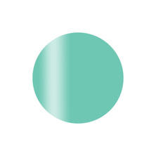 Calgel カラーカルジェルプラス アニモグリーン 2.5g