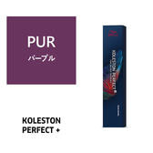 コレストンパーフェクトプラス PUR(パープル) 80g 《ファッションカラー》【医薬部外品】