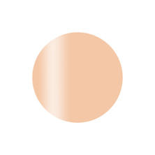 Calgel カラーカルジェルプラス オレンジフロート 2.5g