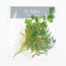 SMint リーフセレクト Dry Leaf Assorted 1