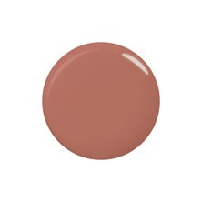 paragel（パラジェル）カラージェル LC07 カームコーラル 4g