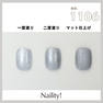 Naility！（ネイリティー）カラージェル コンテナタイプ C1106 ファインシルバー 2