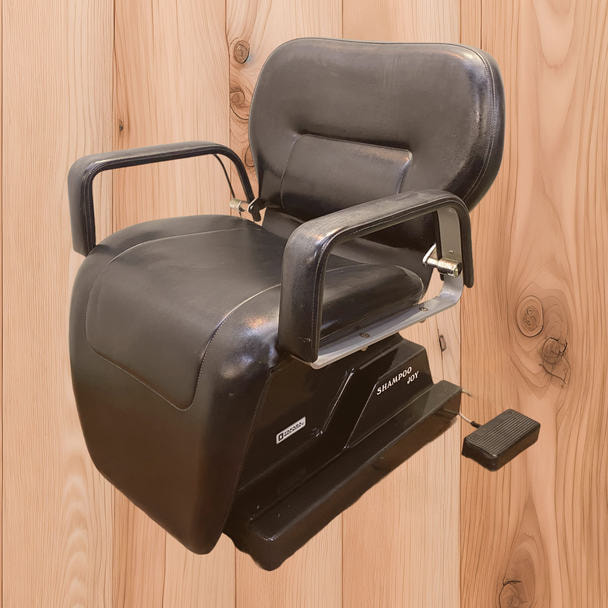 シャンプーJOY　レッグレスト連動 1