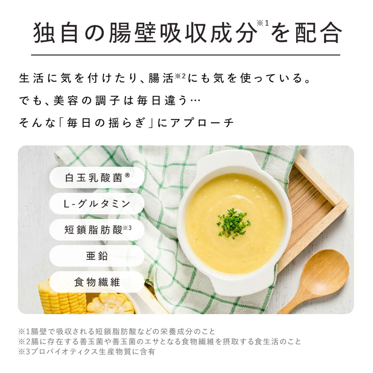 栄養機能食品】ドクターズナチュラルレシピ 美容スーププロテイン