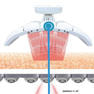 ESTHELUX 5