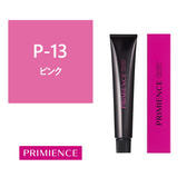 プリミエンス P-13 80g【医薬部外品】