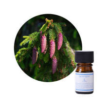 フレーバーライフ クイーンメリー ブラックスプルース 5ml