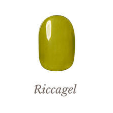 リッカジェル カラージェル 308S 3g