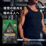 ALPRON PRO WPI（ホエイプロテイン）ダブルリッチチョコレート風味 900g 3