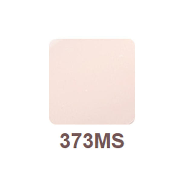 リッカジェル カラージェル 373MS 3g