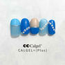 Calgel カラーカルジェルプラス グラフィックブルー 2.5g 5