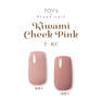 TOY’s × INITY 極みチークピンク 2