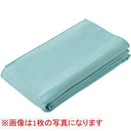 エクセレントタオル ミント(10枚入り) 40cm×90cmの卸・通販