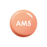 paragel（パラジェル）カラージェル AM5 ミルキーキャロット 4g 1