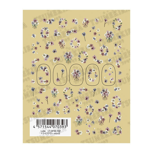 ツメキラ【Latte】ドライフラワー mini2 LT-DFM-102 1